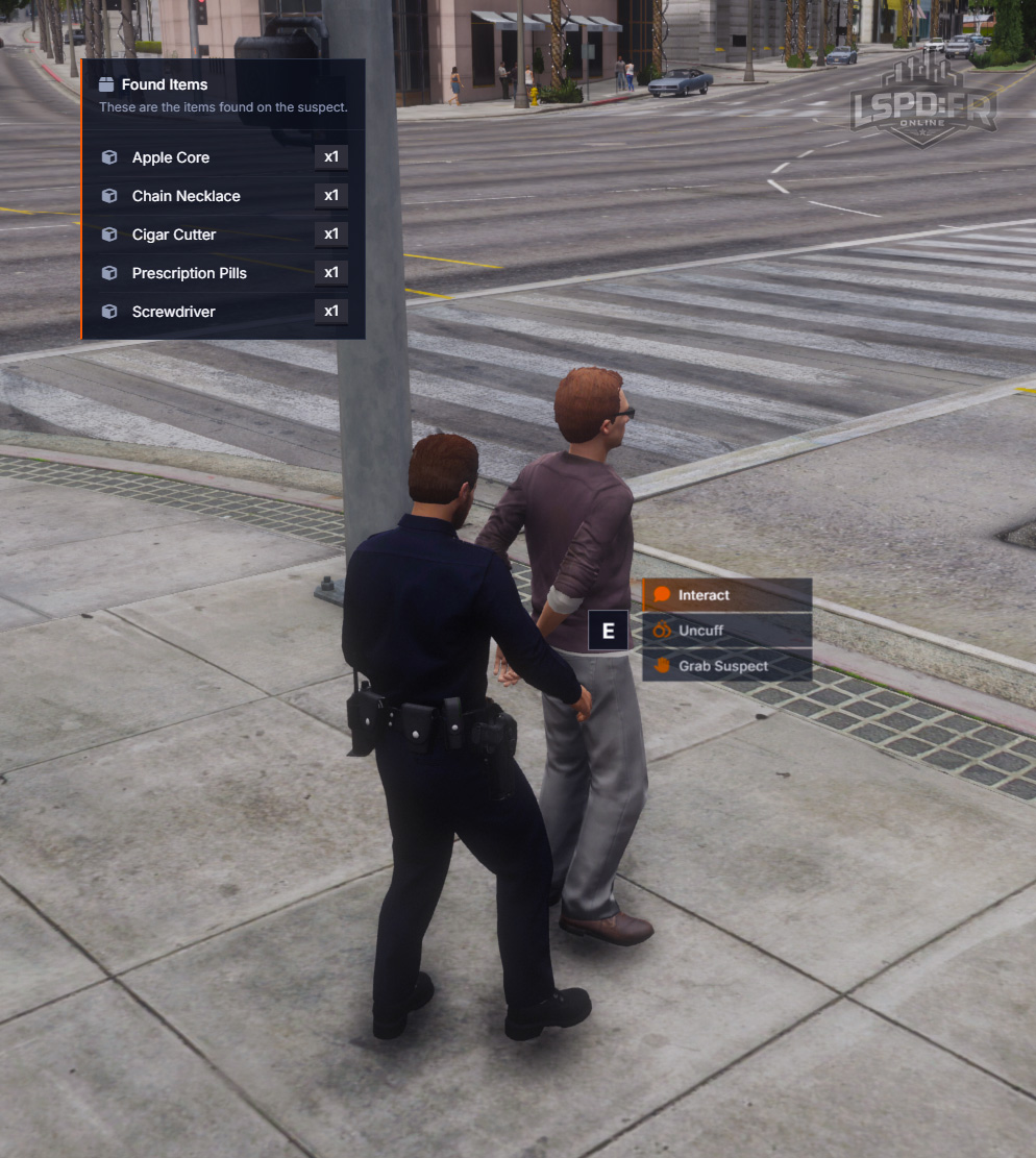 Searching a suspect reveals a list of items found